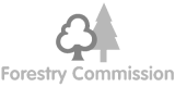 foresty_commission_logo